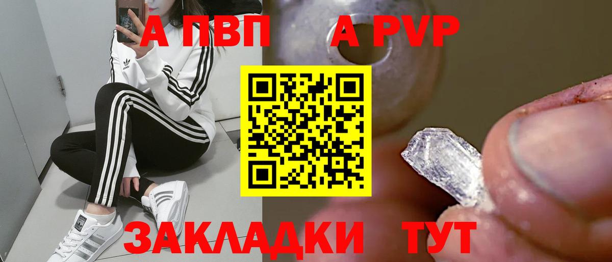 A PVP СК Горно-Алтайск
