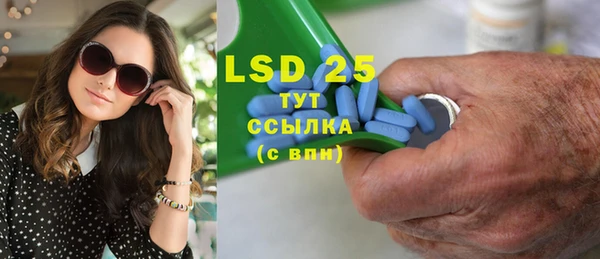 прущие грибы Балабаново