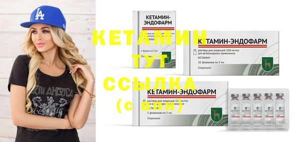 прущие грибы Балабаново