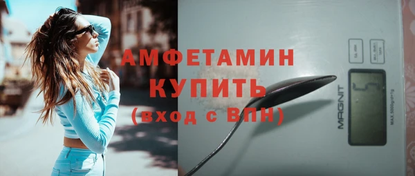 прущие грибы Балабаново