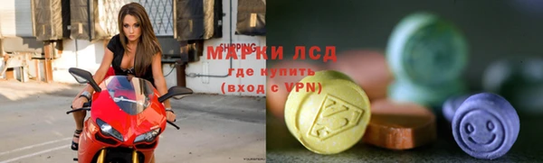 прущие грибы Балабаново