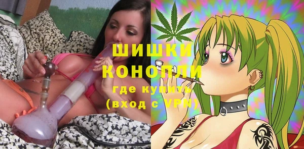 прущие грибы Балабаново
