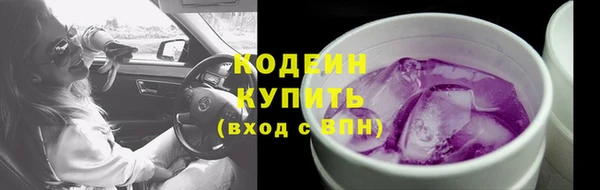 прущие грибы Балабаново