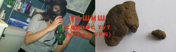 прущие грибы Балабаново