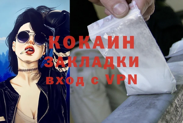 прущие грибы Балабаново