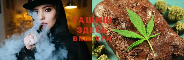 прущие грибы Балабаново