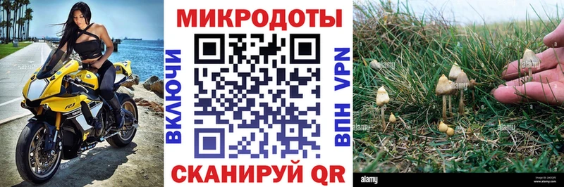 площадка официальный сайт  купить наркотик  Горно-Алтайск  Галлюциногенные грибы Psilocybine cubensis 