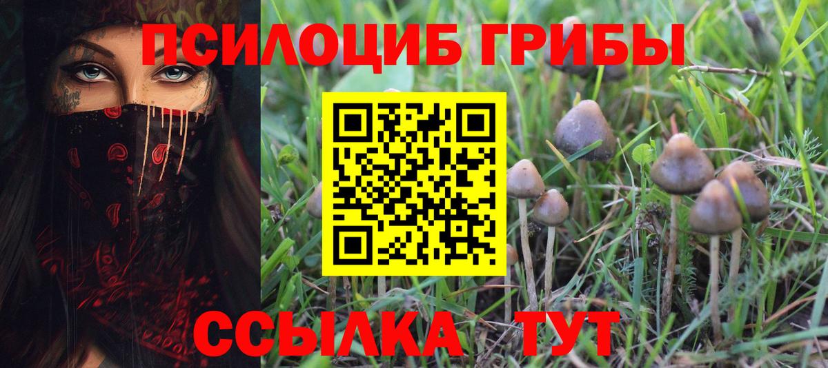 Галлюциногенные грибы мицелий  Горно-Алтайск 