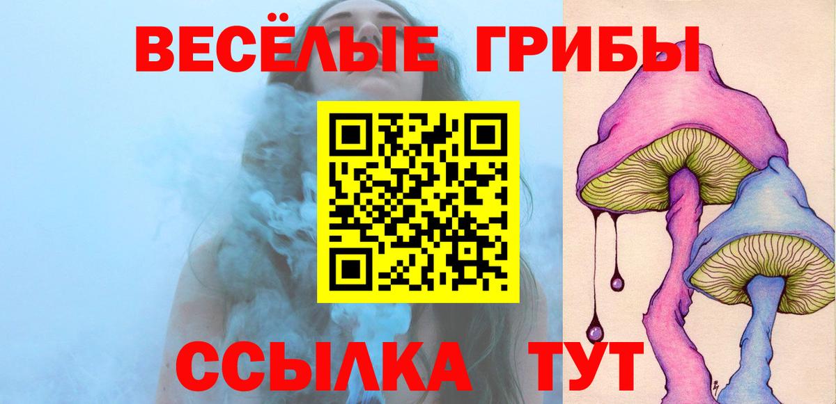 Галлюциногенные грибы прущие грибы  Вход с VPN  купить закладку  Горно-Алтайск  Псилоцибиновые грибы MAGIC MUSHROOMS 
