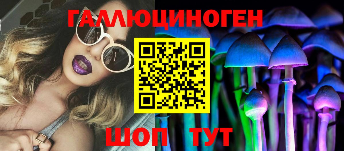 Псилоцибиновые грибы Cubensis Горно-Алтайск