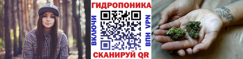 нарко площадка как зайти  Горно-Алтайск  Бошки марихуана ГИДРОПОН 